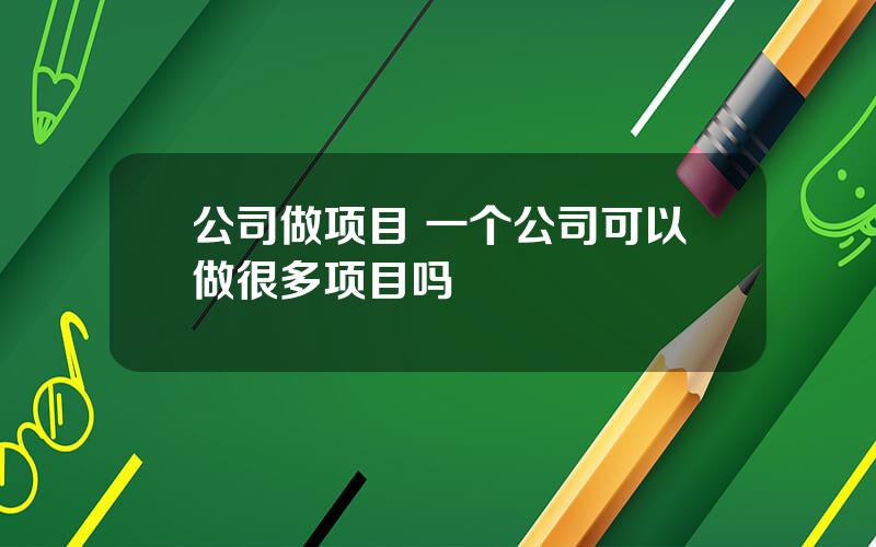 公司做项目 一个公司可以做很多项目吗